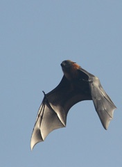 IMG_3914a1